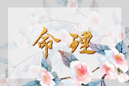 黄历大全 今天老黄历宜忌黄历 吉日查询老黄历